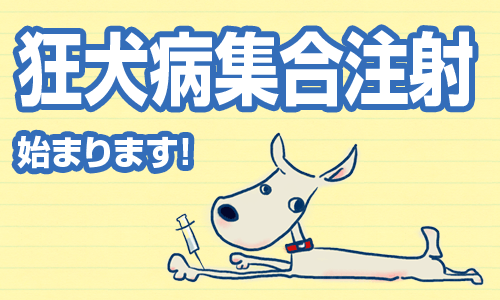 狂犬病