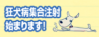 狂犬病