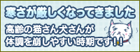寒さが厳しくなってきました