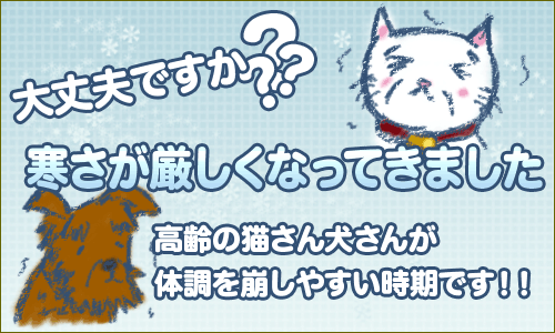 寒さが厳しくなってきました