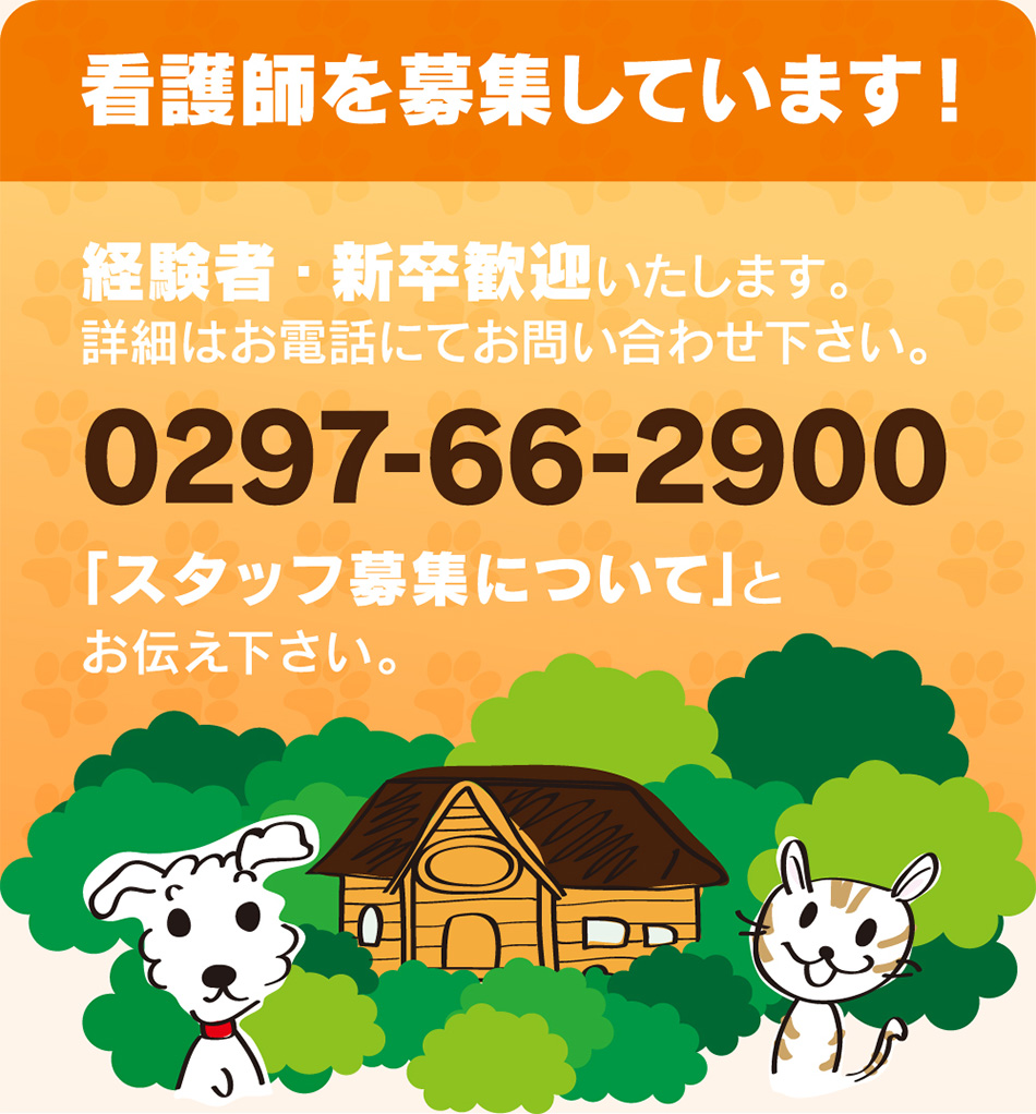 看護師を募集しています!