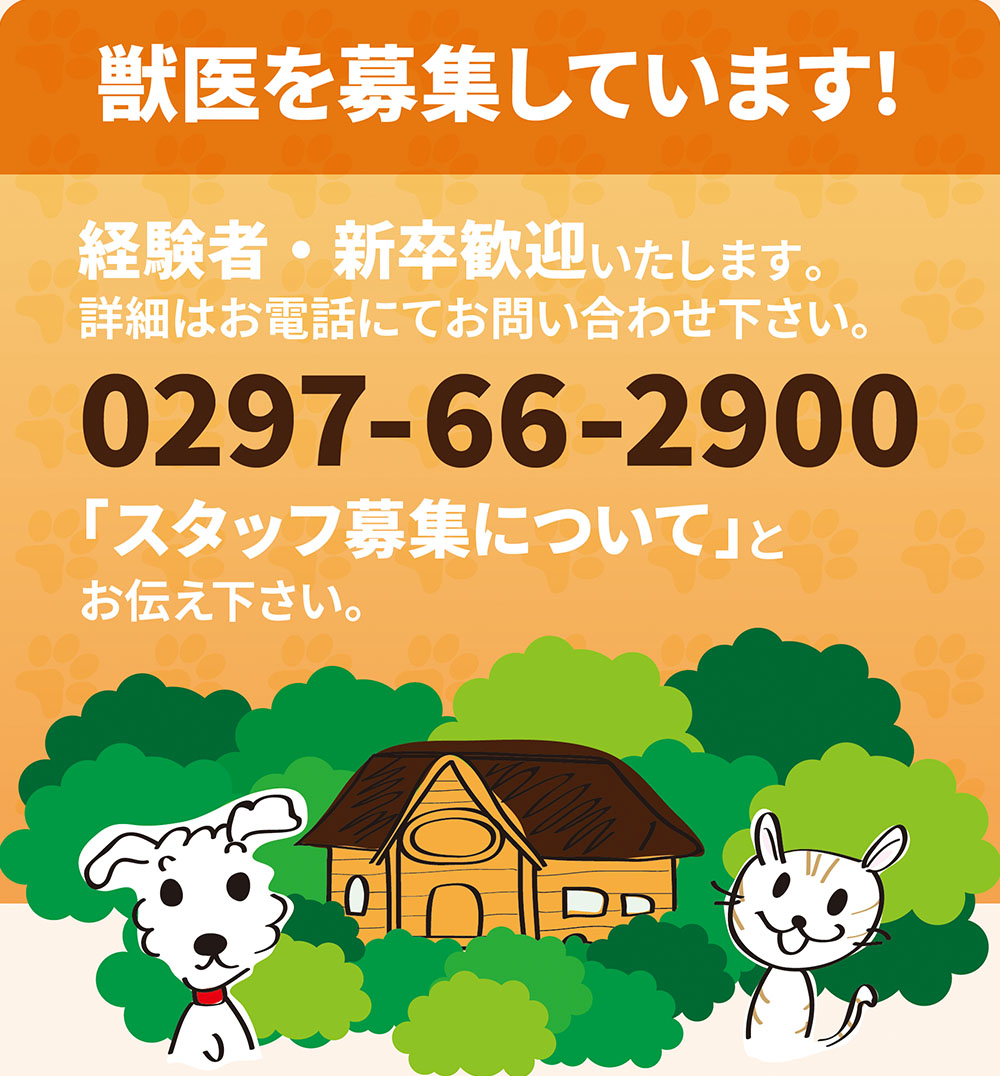 獣医を募集しています!